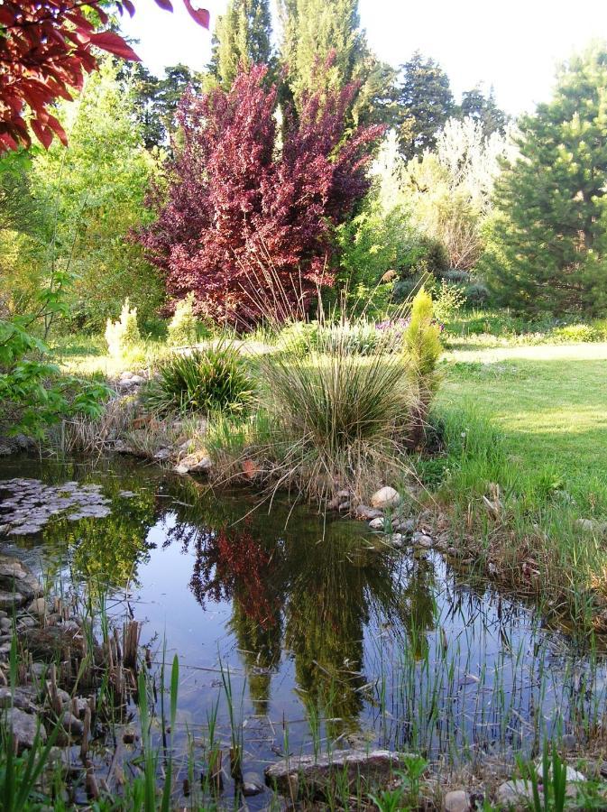 Le Mas De La Cigale Bleue, Caumont Sur Durance מראה חיצוני תמונה