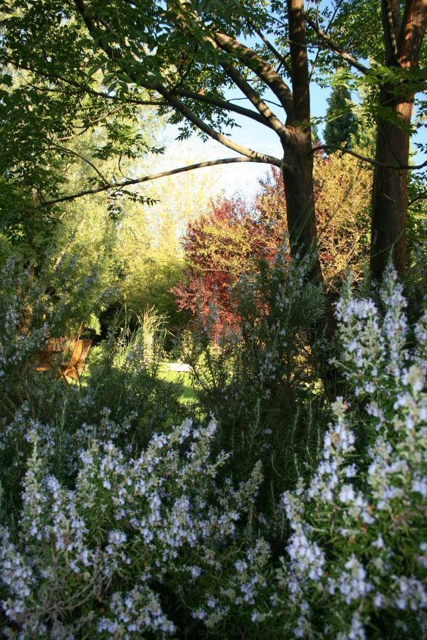 Le Mas De La Cigale Bleue, Caumont Sur Durance מראה חיצוני תמונה