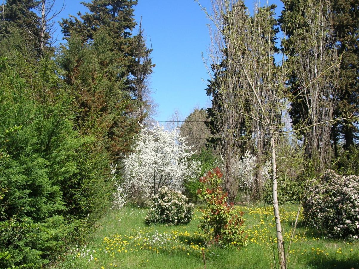 Le Mas De La Cigale Bleue, Caumont Sur Durance מראה חיצוני תמונה